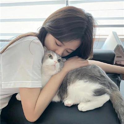 秘密使节